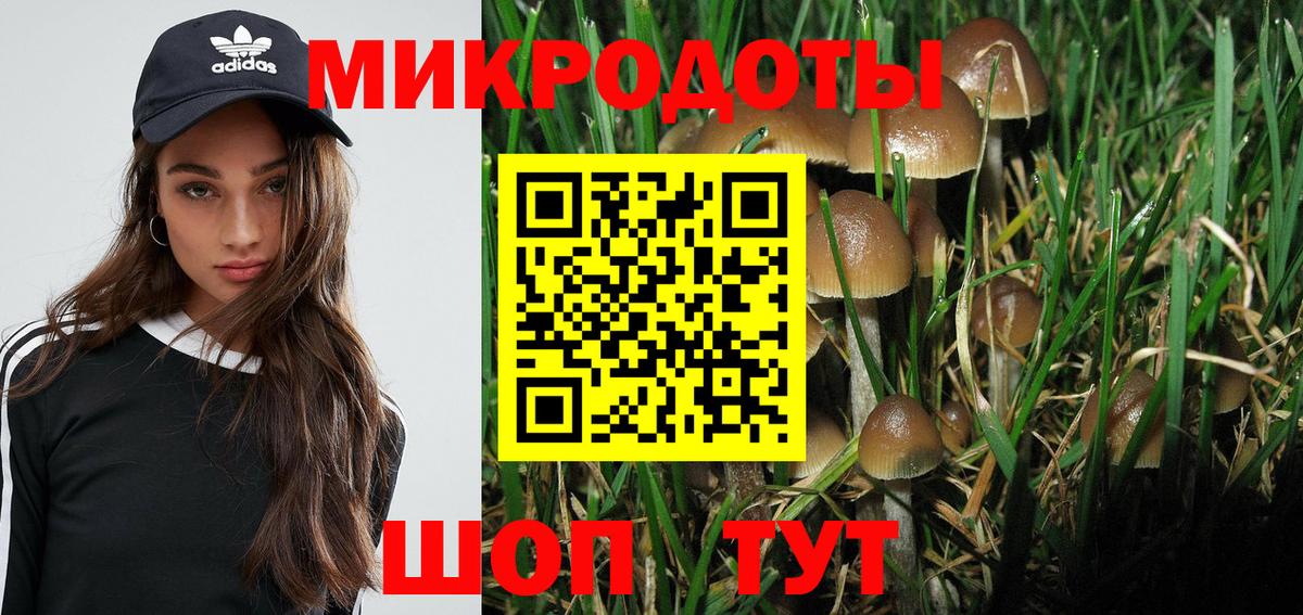 Псилоцибиновые грибы MAGIC MUSHROOMS Минеральные Воды
